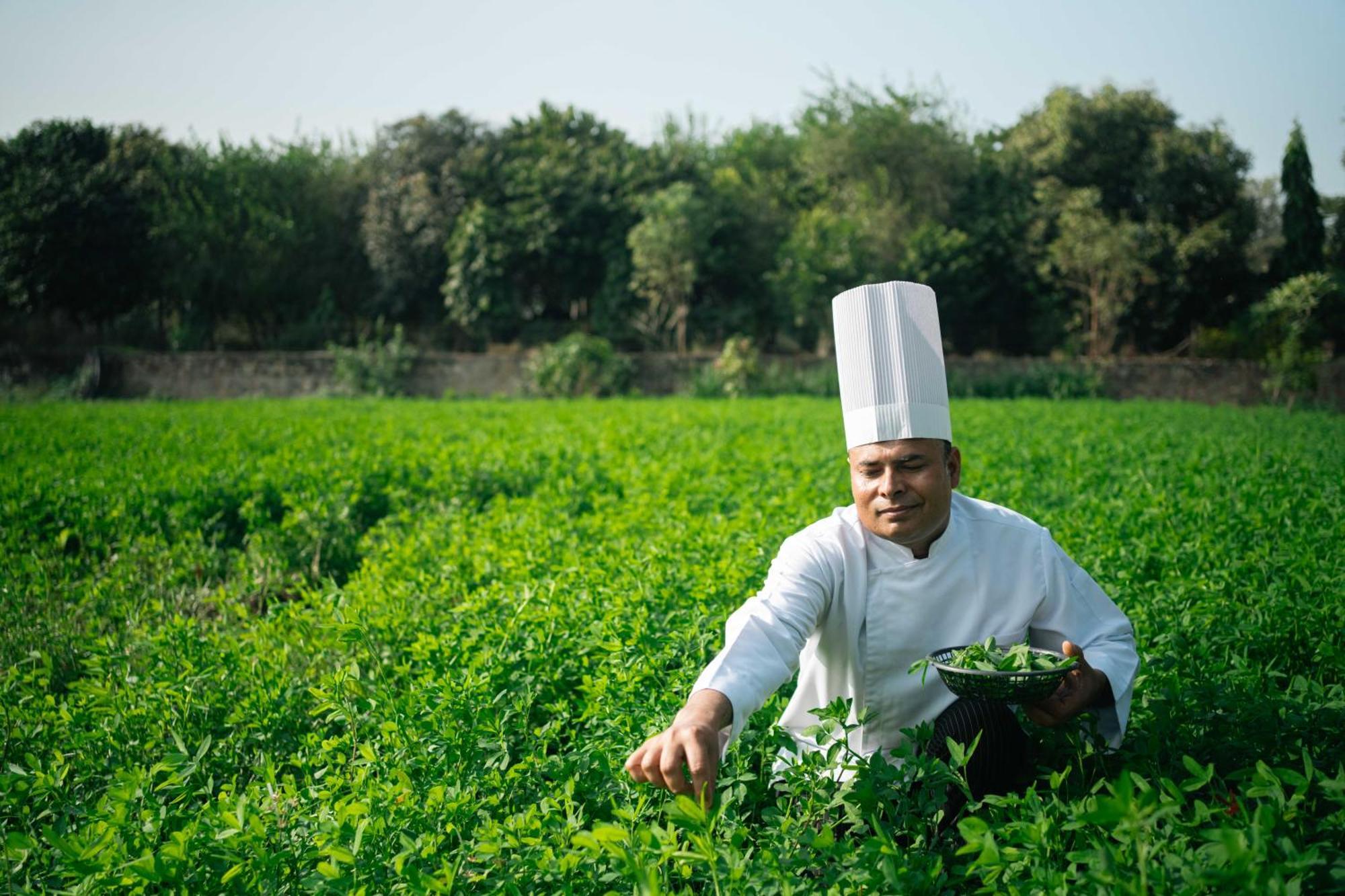 Abhyaran Resort & Spa Ranthambore ซาวาย มาโดปูร์ ภายนอก รูปภาพ