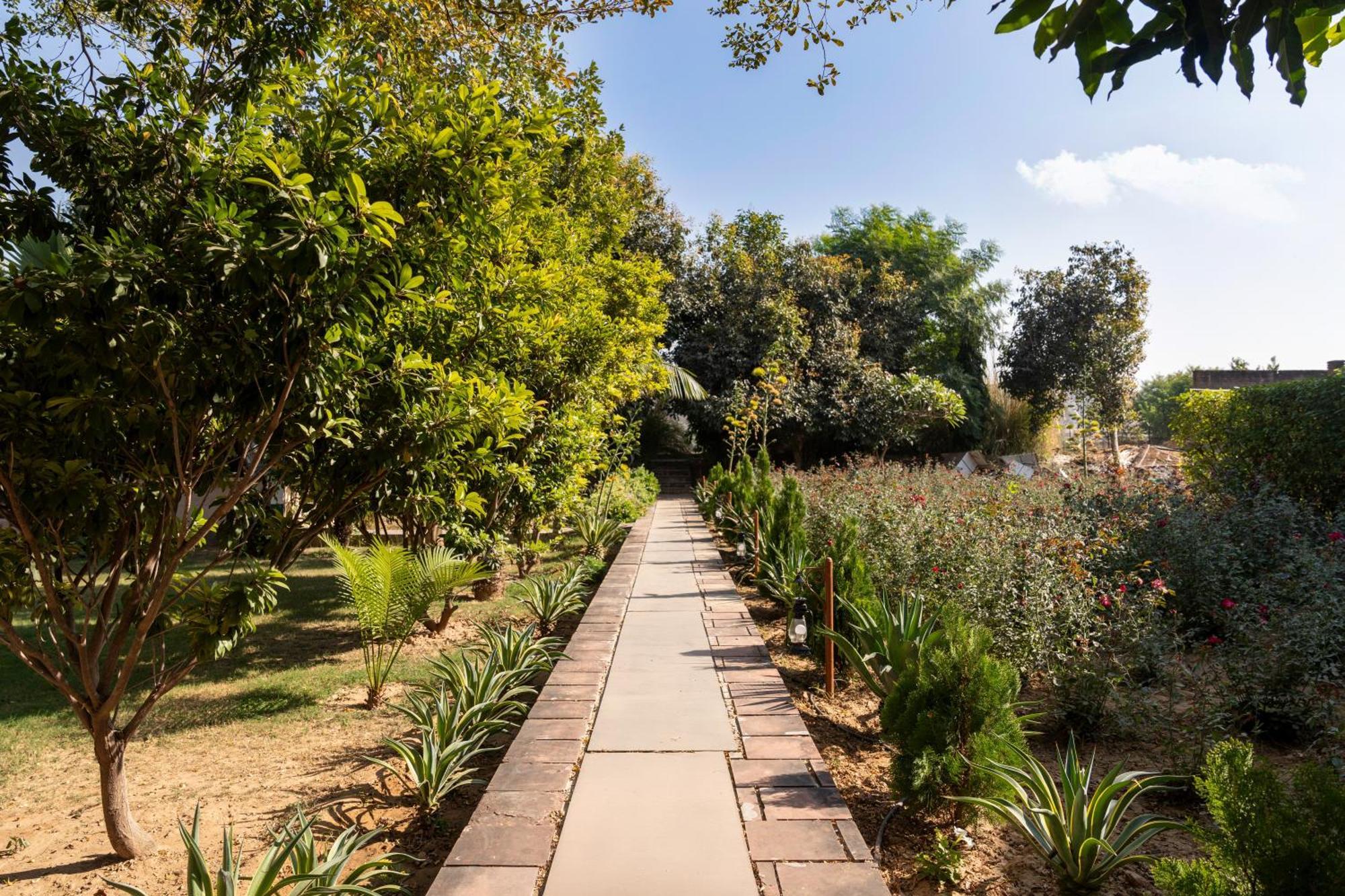 Abhyaran Resort & Spa Ranthambore ซาวาย มาโดปูร์ ภายนอก รูปภาพ